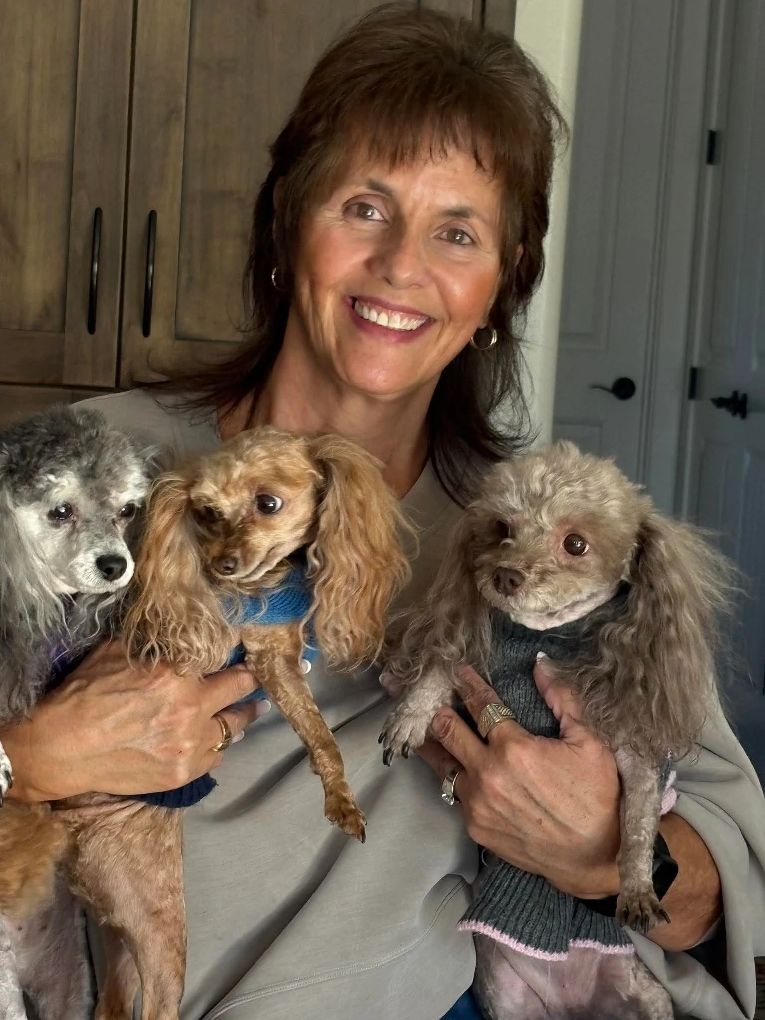 Related news image for St. George Word of Mouth Weekly: Saying Goodbye to Nina, State of the City Highlights, Major Drug Bust & This Week's Events - Southern Utah news